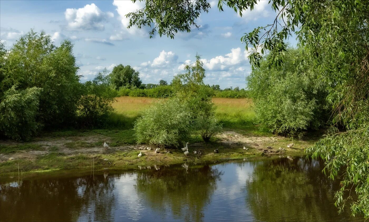 Лето река. Лето река пляж. Жара река. На реке в жару. Жара речка.