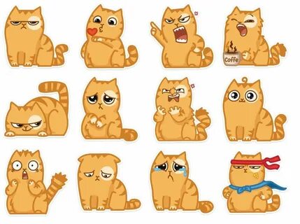 Котик персик