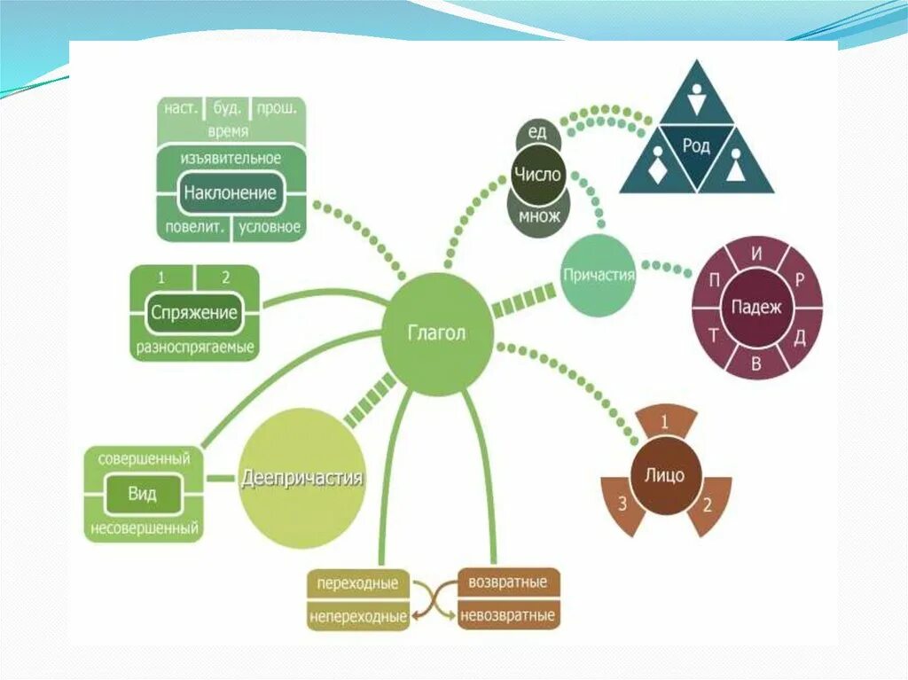 Интеллект карта глагол. Интеллектуальная карта глагол. Виды интеллекта. Ментальная карта по глаголам. Ментальная карта по теме глагол 6 класс.