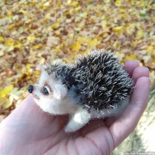 Колючая шубка