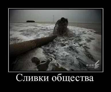 Антипод сливок общества