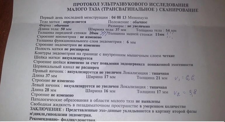 УЗИ органов малого таза норма. Норма УЗИ малого таза у женщин. Ультразвуковое исследование матки и придатков трансабдоминально. УЗИ органов малого таза протокол норма. Толщина эндоцервикса