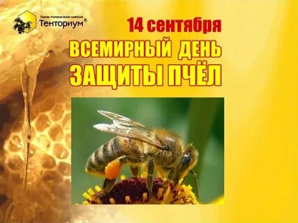 14 сентября день
