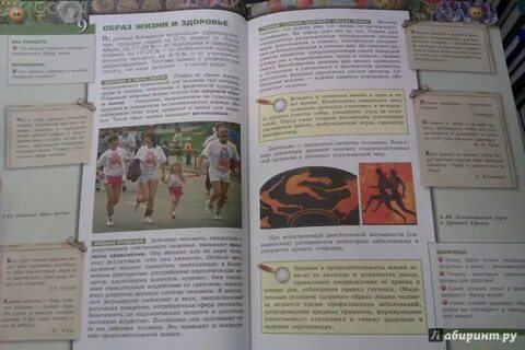 Учебник по биологии 8 класс сухорукова