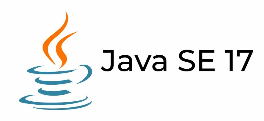 Java Standard. Java platform se. Java Standard Edition. Джава 17.