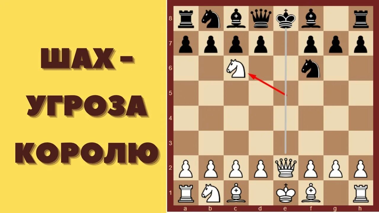 Виды шахматных партий