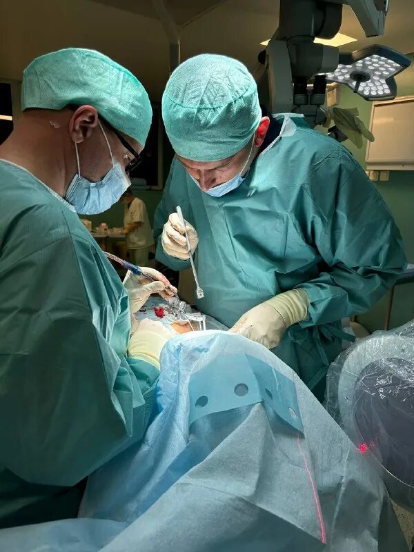 нейрохирургический центр имени тиглиева. нейрохирургический центр имени тиглиева. медицинское учреждение тиглиева.