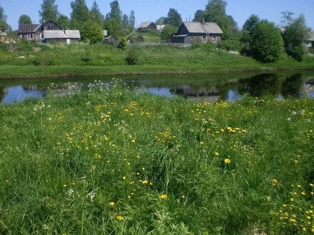 ладва ветка карелия. п ладва прионежского района республики карелия. прионежский район поселок ладва. поселок ладва прионежский район. посёлок ладва карелия.