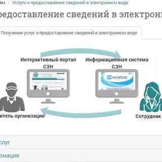 Портал цифровой проект