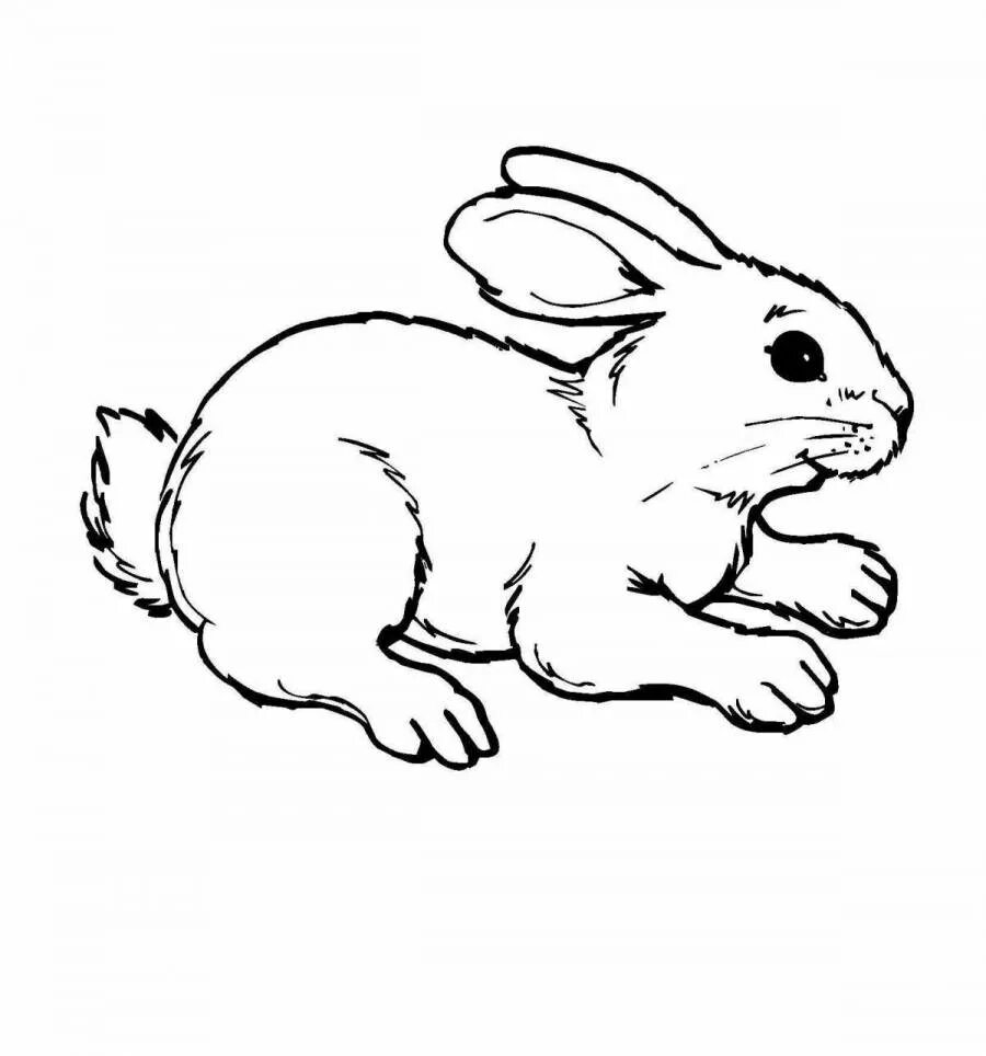 Белые картинки для детей. Кролик раскраска. Раскраска зайчик. Заяц раскраска для детей. Кролик раскраска для детей.