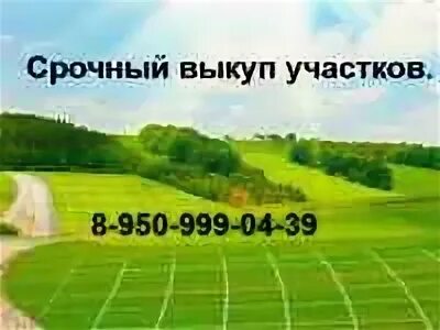 Срочный выкуп земли. Срочный выкуп земли