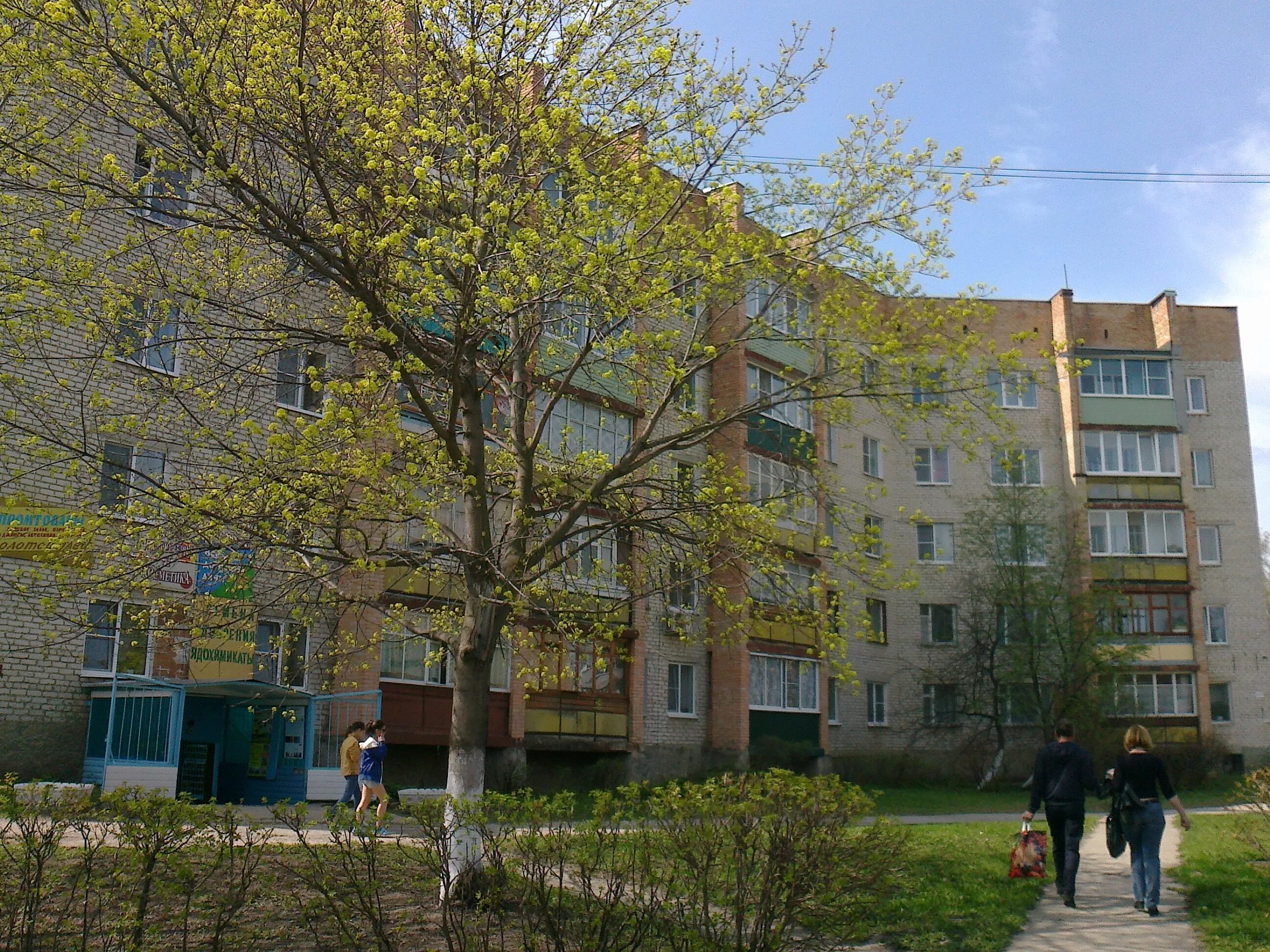 Авито новомичуринск. Новомичуринск микрорайон д. новомичуринск микрорайон д 1. 1 д район новомичуринск. новомичуринск 1д.