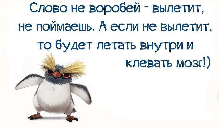 Слов не выкинешь пословица. Слово не Воробей вылетит не поймаешь. Слово не Воробей вылетит. Слово Воробей вылетит поймаешь. Слово не Воробей.