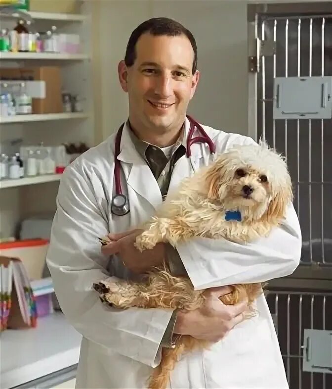 Ветеринар часть 2. Ветеринарный врач. Ветеринар Горончук.