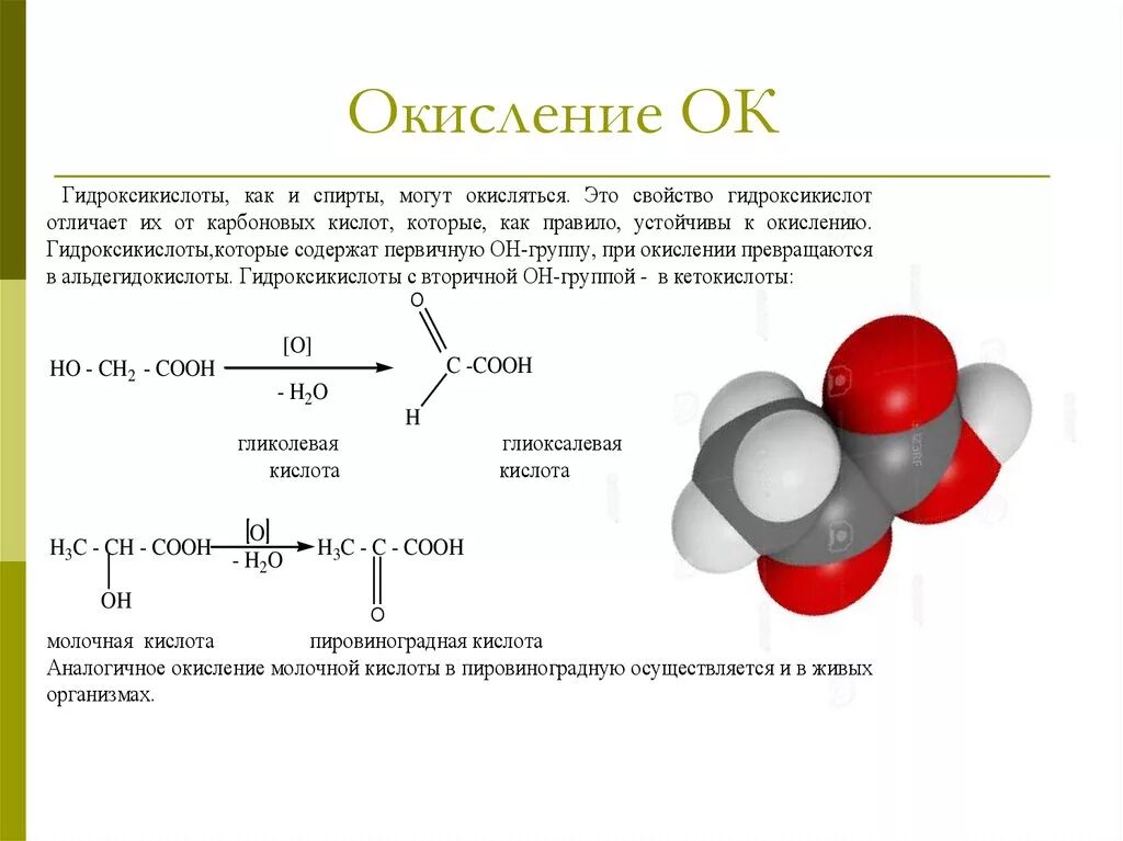 Окислением называется. Химические свойства оксикислот. Кратко. Окислением 1,2-гликолей с концевой первичной спиртовой группой. Ацилирование гидроксикислот. Окисление гидроксикислот в организме при участии кофермента над+.
