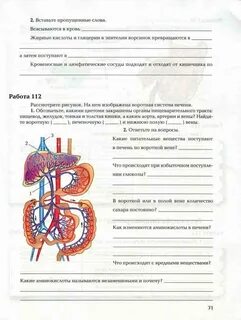 Биология 8 класс стр 29 вопросы