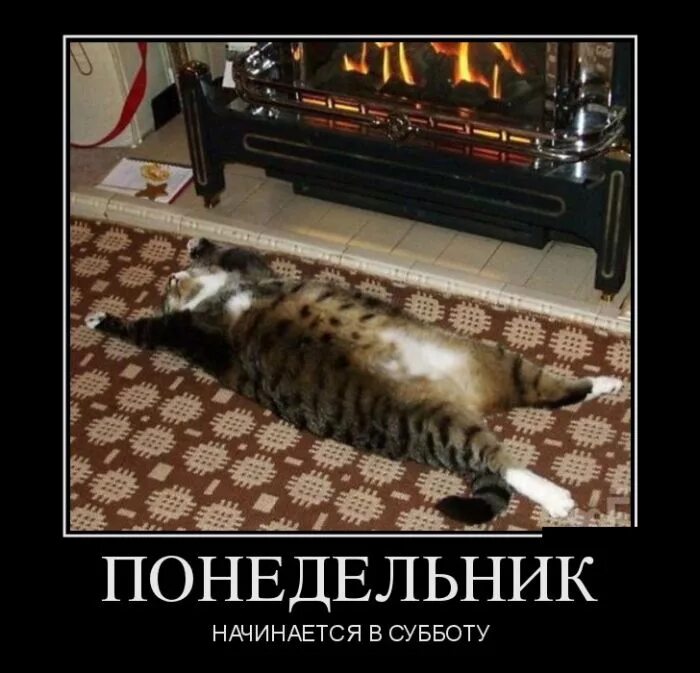 Выражения про понедельник. Понедельник вечер прикольные. Вечер понедельника прикол. Открытки с понедельником прикольные. Понедельник вечер прикольные.
