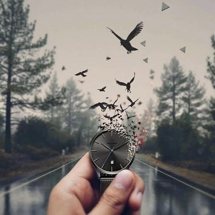 Свобода все пройдет. Свобода все пройдет. Ощущение счастья. Свобода все пройдет. Птицы над водой.