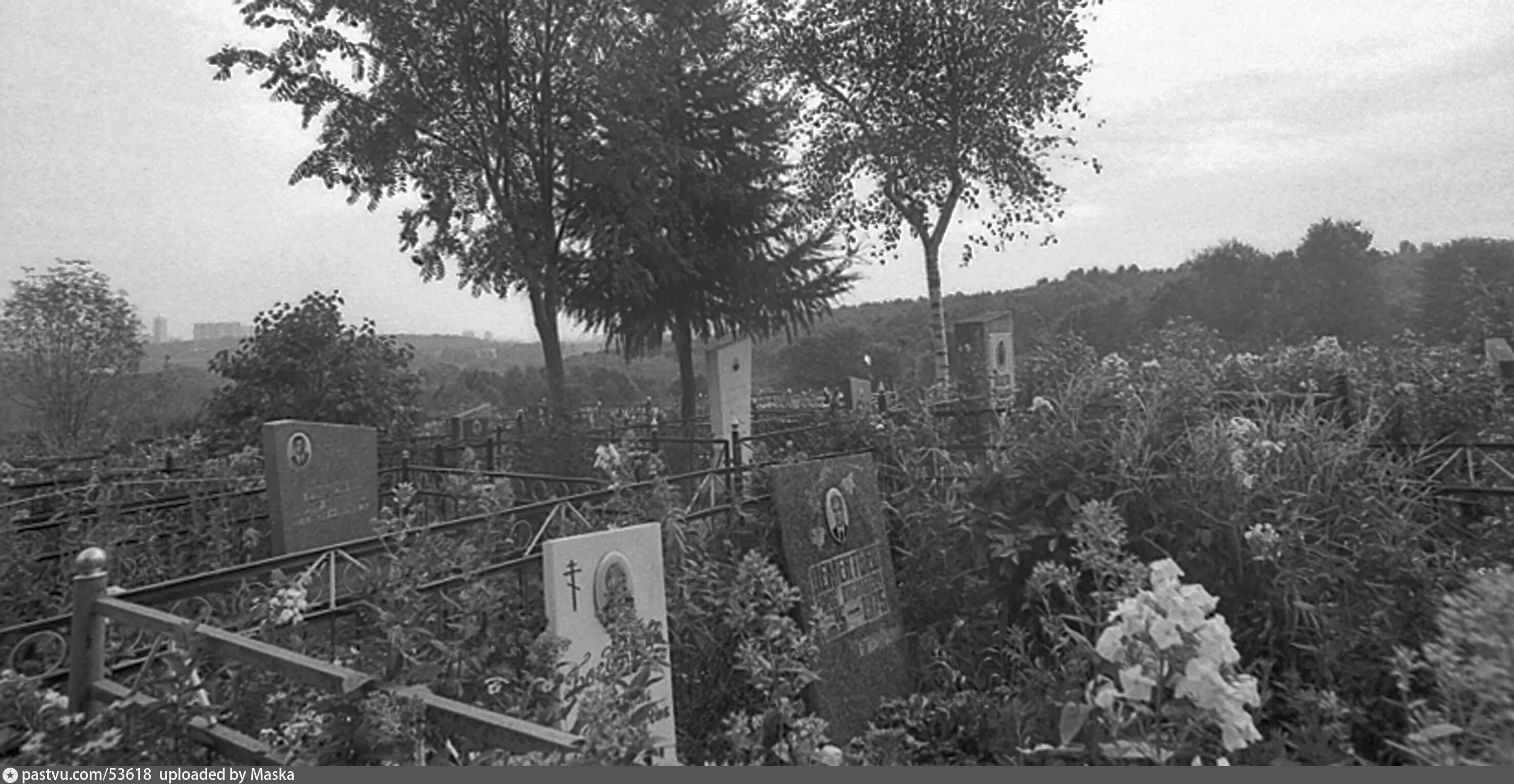 Где раньше были кладбища. Немецкое кладбище Митино. Митинское кладбище могилы. Дегунинское кладбище Коровинское шоссе. Миусское кладбище.= Старые могилы.