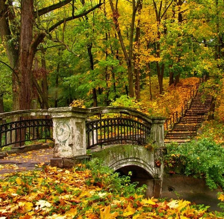 Одинокий человек в парке. Прогулявшись по аллеям старого парка старые приятели. Пара идет по аллее в парке. И. Прогулявшись по аллеям старого парка старые приятели.