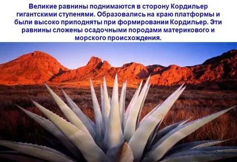 Назовите самую большую равнину