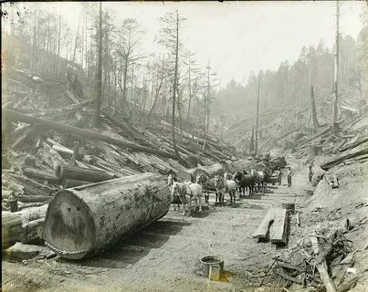 Logging 10 000 years