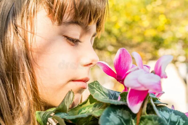 Девочка воняла. Девушка с цветком цикламена. Фото девушки с цикламеном. Запах девочки. Девчонки пахнут.