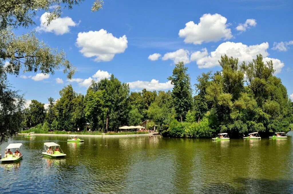 Park in. Голицынский пруд парк Горького. Большой Голицынский пруд в парке Горького. Парк культуры Голицынский пруд. Голицынские пруды Москва.