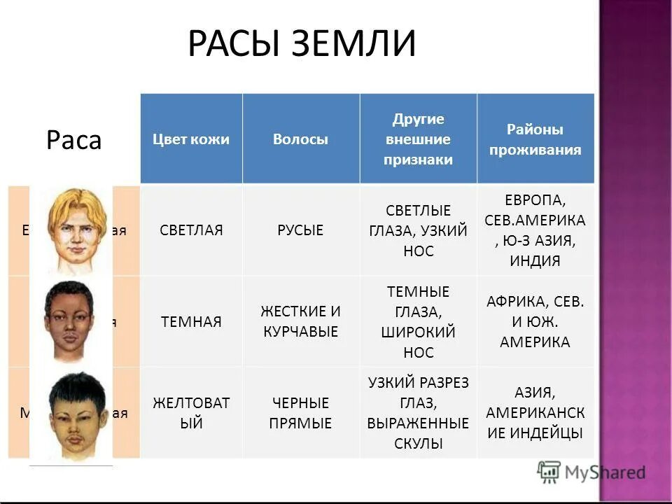 Расы людей. Расы на земле. Основные расы. Расы людей список.