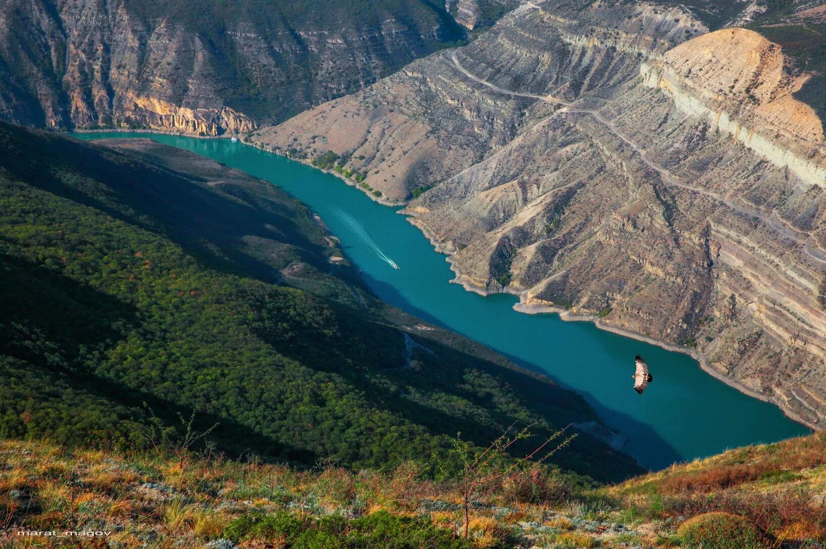 Сулакский каньон в Дагестане. Каньон Чечня Сулакский. Дубки Дагестан Сулакский каньон. Сулакский каньон Дербент.