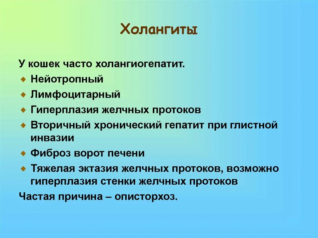 Холангит у кошек. Лимфоцитарный холангит. Холангит на УЗИ. Холангиогепатит у кошек. Халангио гкпктмт у кошек.