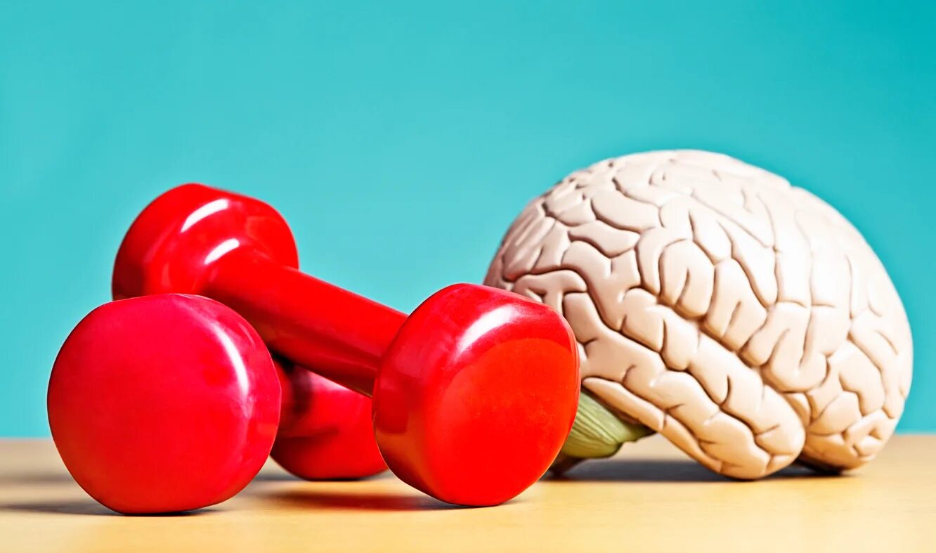 Спорт и мозг. Спортивный мозг. Физическая и умственная активность.
