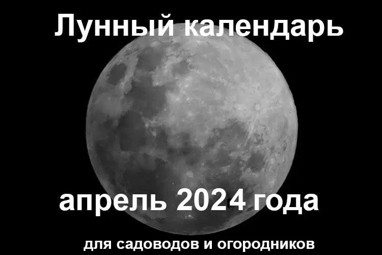 Лунный в апреле 2023 года