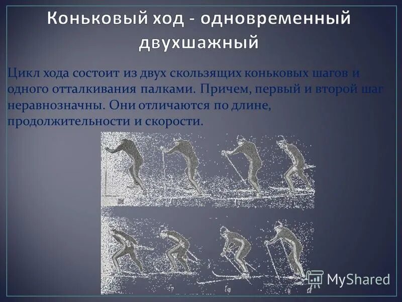 Цикл одновременного двухшажного хода. Цикл хода состоит. Цикл хода состоит. Коньковый ход. Попеременный двухшажный ход цикл.