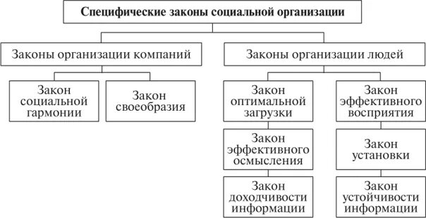 Специфические законы организации. Специфические законы социальной организации. Законы управления организацией. Специфические социальные законы. Специфические законы теория организации.
