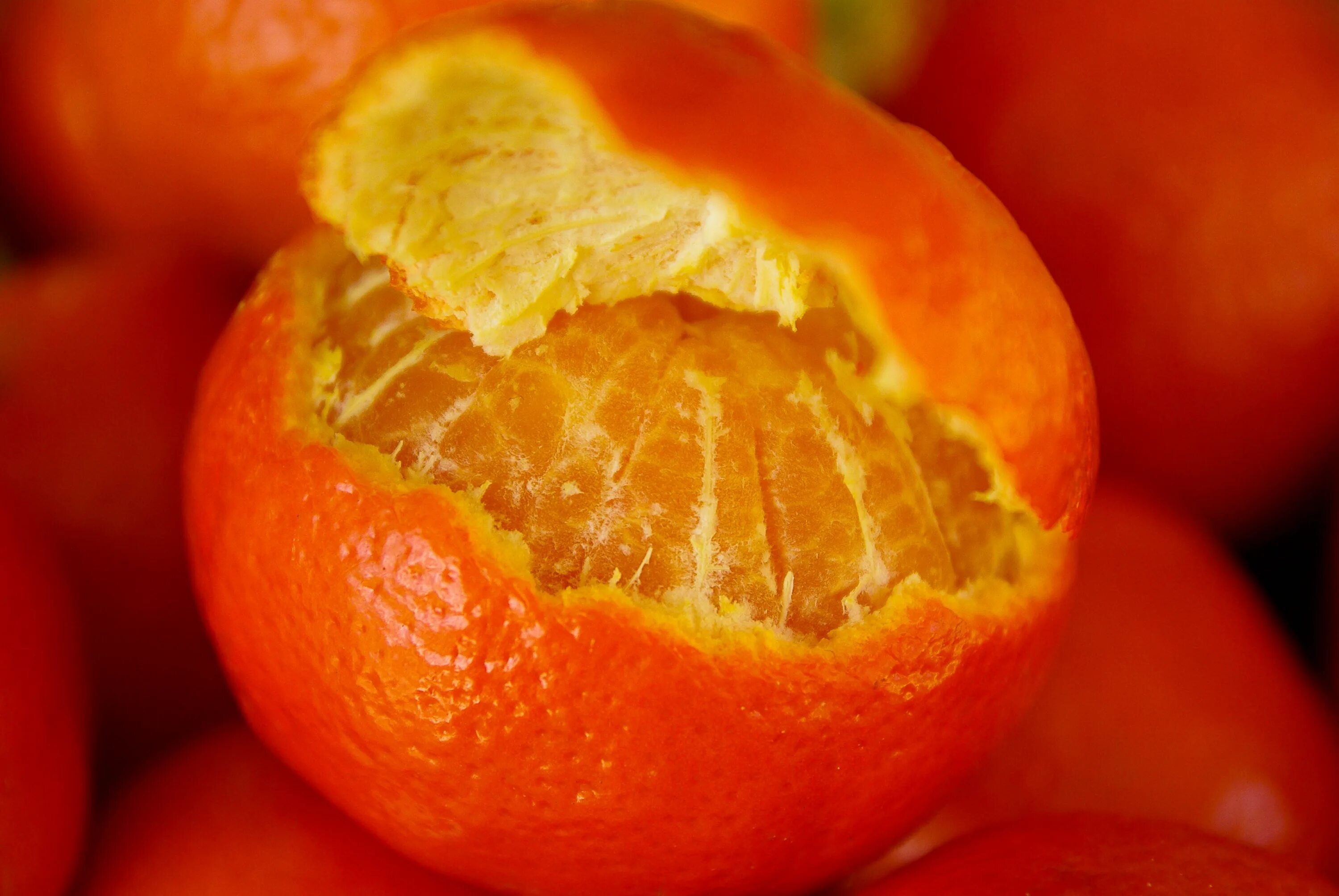 Померанец цвета оранж. Оранжевый фрукт коламбия. Цитрусовые фрукты хурма. Оранжевый цвет.