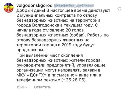 Заявки на отлов безнадзорных животных