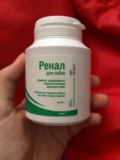 Проблема почек у собак