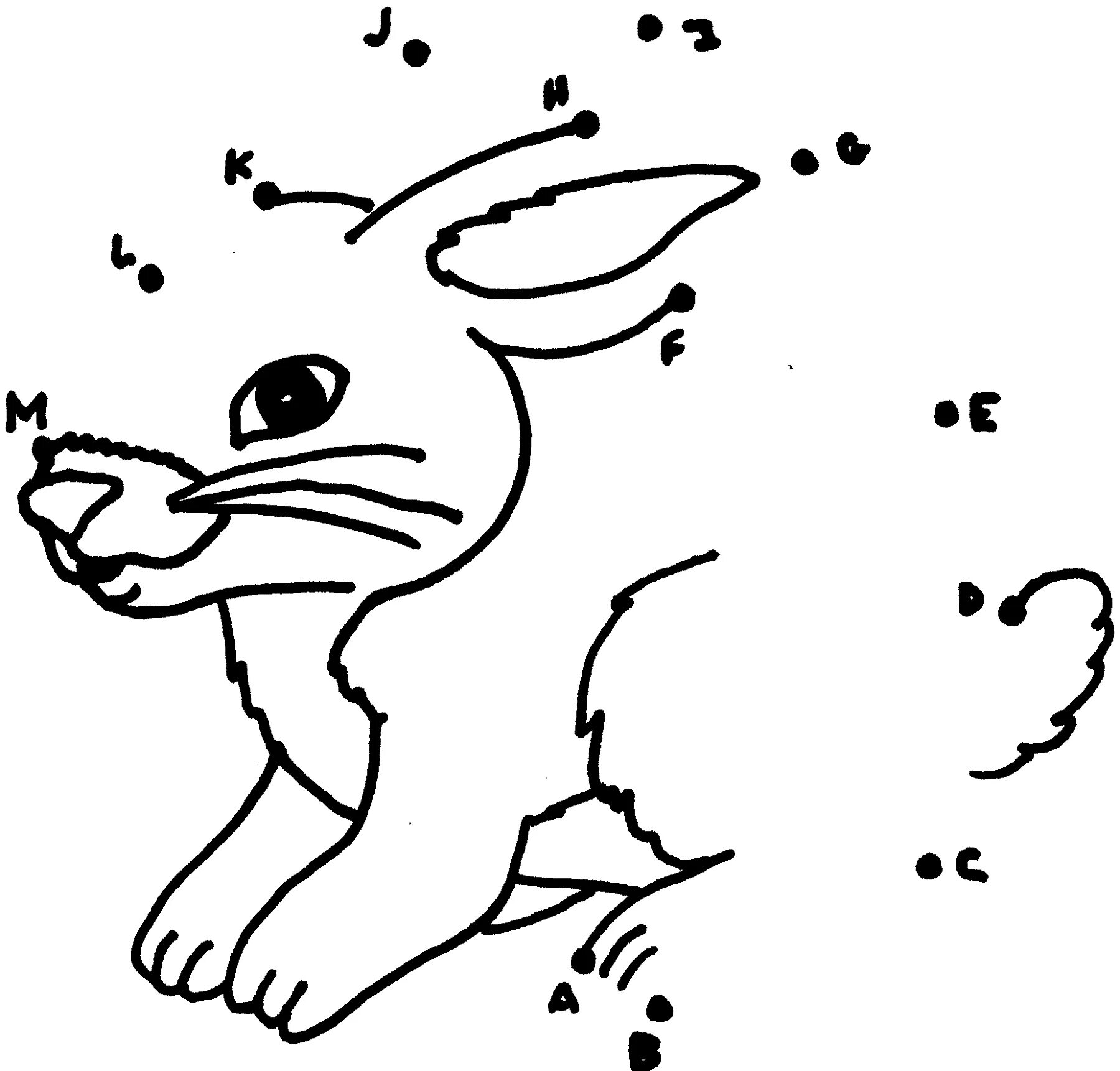 Точка обитатель. Рисунки по точкам животные. Рисование животных по точкам для детей. Соедини по точкам Дикие животные. Заяц раскраска по точкам.