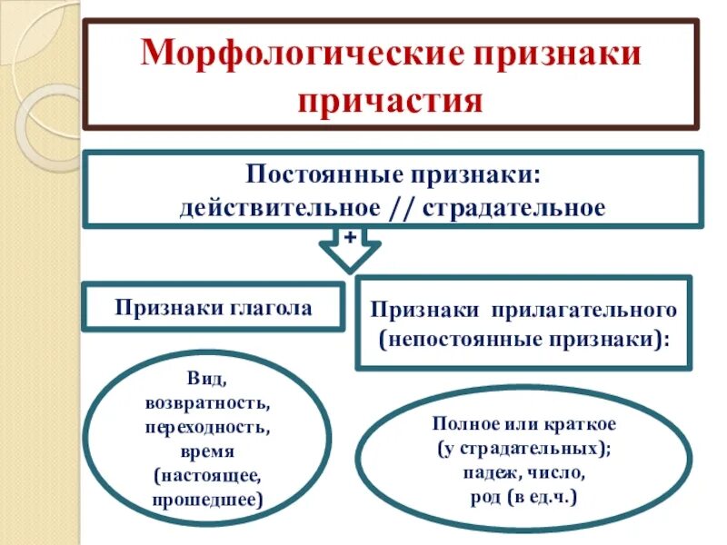 Постоянные и непостоянные признаки причастия 7 класс. 2. Морфологические признаки прилагательного у причастия. Непостоянные морфологические признаки причастия. Морфологические признаки глагола у причастия. Время постоянный признак причастия