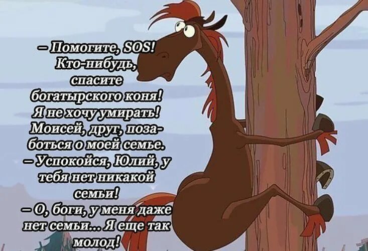 Никаких нибудь
