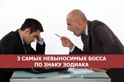 Начальник знаки внимания