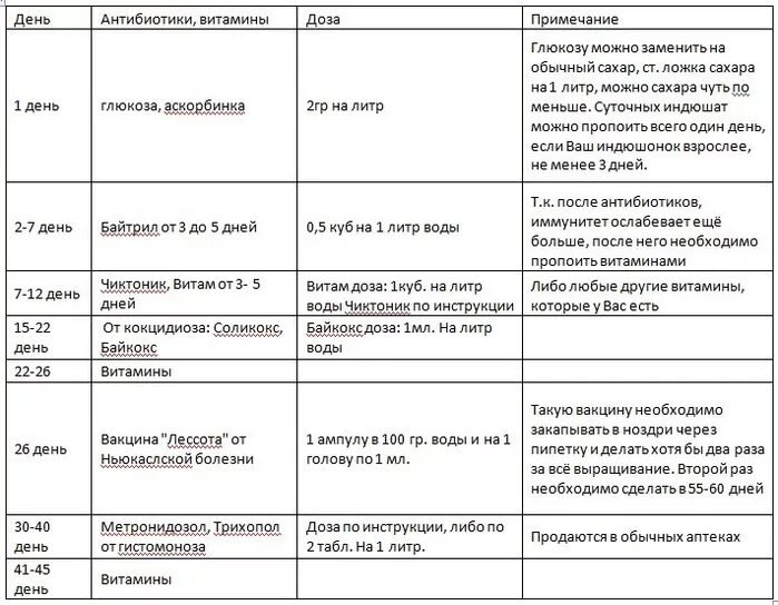 Какие лекарства дать цыплятам. Схема пропойки индюшат. Схема выпаивания цыплят бройлеров антибиотиками. Выпойка цыплят бройлеров схема. Схема пропойки бройлерных цыплят.