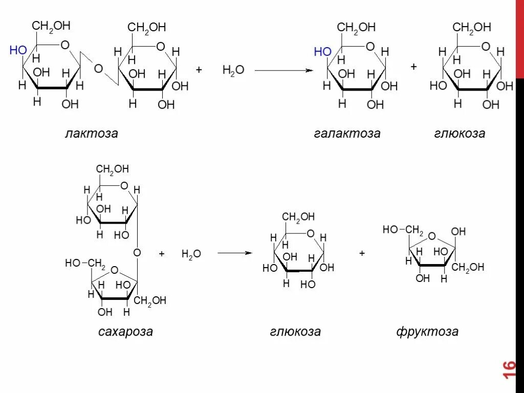 Формула глюкозы лактозы фруктозы. Сахароза вода глюкоза фруктоза. Формула глюкозы и фруктозы. Сахароза вода глюкоза фруктоза. Кислотный гидролиз сахарозы реакция.