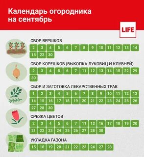 Благоприятные дни по лунному календарю сентябрь 2024