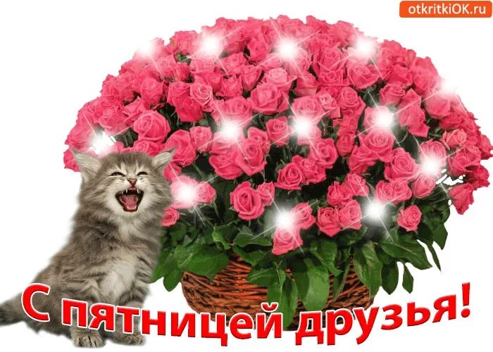 Доброй пятницы отличных выходных