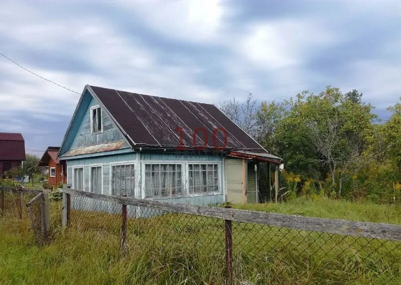 Новая мельница сады Великий Новгород. Новгородские дачи в СНТ. Великий Новгород новая мельница Загородная 135. Новая мельница Великий Новгород д 25. Дачи в новой мельнице великий