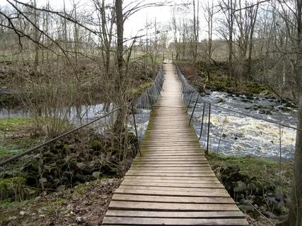 Горки новгородская область солецкий