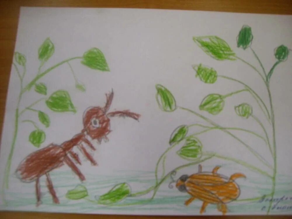 Рисование насекомые старшая. Рисование насекомых в детском саду. Рисование путешествие в мир насекомых средняя группа. Рисование насекомые в ДОУ. Мир насекомых рисование подготовительная группа.