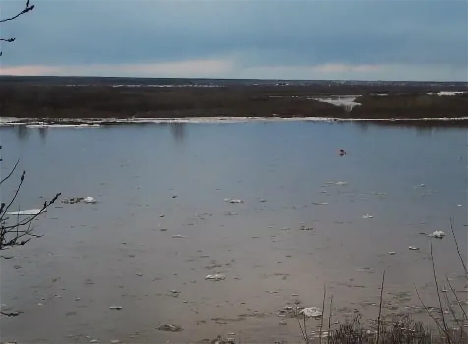 Уровень воды в котласе на сегодня. Котлас ледоход. Уровень воды в реке Северная Двина. Ледоход на Сев Двине в ,2023 году. Ледоход в Архангельске 2023.